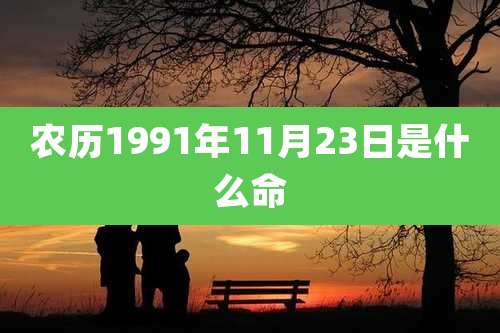 农历1991年11月23日是什么命
