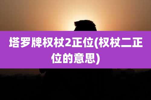 塔罗牌权杖2正位(权杖二正位的意思)