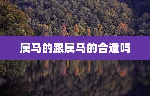 属马的跟属马的合适吗