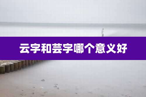 云字和芸字哪个意义好