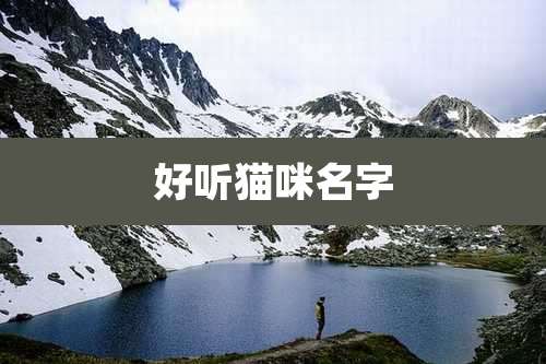 好听猫咪名字