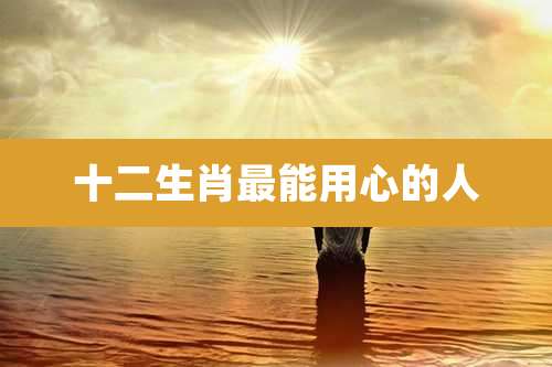 十二生肖最能用心的人