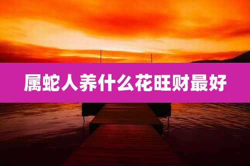 属蛇人养什么花旺财最好