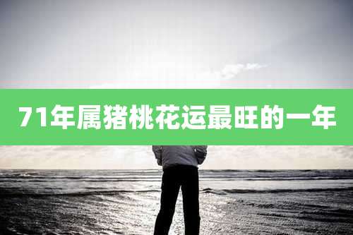 71年属猪桃花运最旺的一年