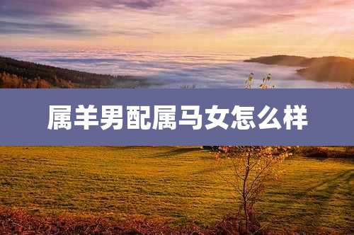 属羊男配属马女怎么样