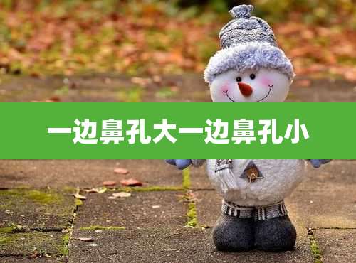 一边鼻孔大一边鼻孔小