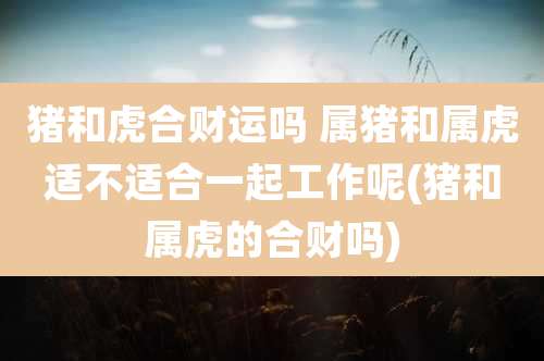 猪和虎合财运吗 属猪和属虎适不适合一起工作呢(猪和属虎的合财吗)