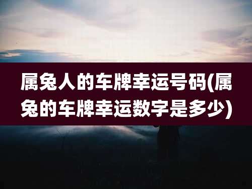 属兔人的车牌幸运号码(属兔的车牌幸运数字是多少)