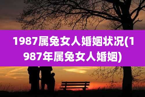 1987属兔女人婚姻状况(1987年属兔女人婚姻)