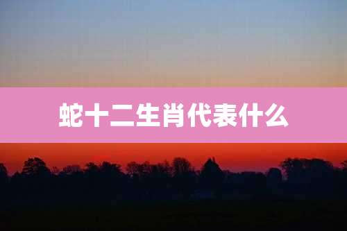 蛇十二生肖代表什么
