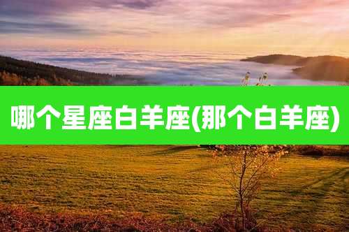 哪个星座白羊座(那个白羊座)