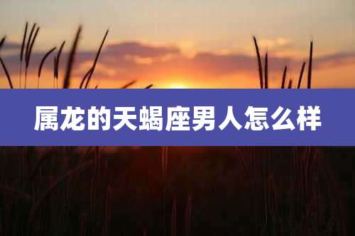 属龙的天蝎座男人怎么样