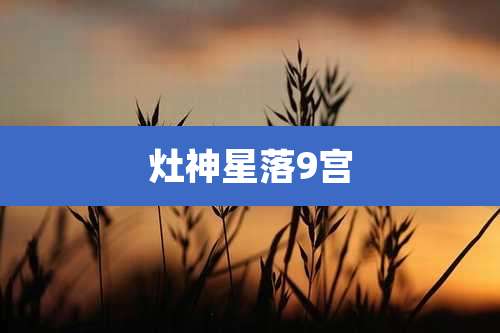 灶神星落9宫