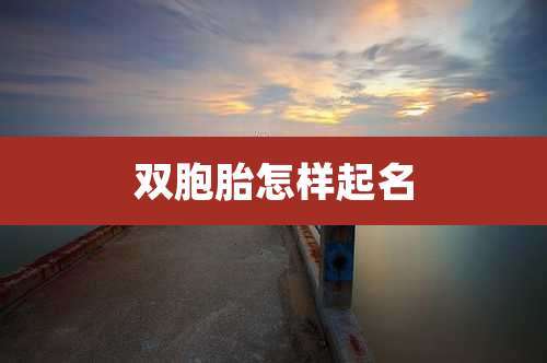 双胞胎怎样起名