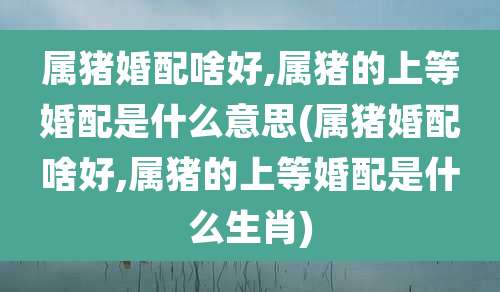 属猪婚配啥好,属猪的上等婚配是什么意思(属猪婚配啥好,属猪的上等婚配是什么生肖)