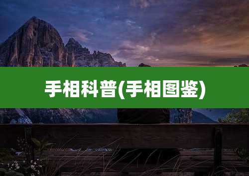 手相科普(手相图鉴)