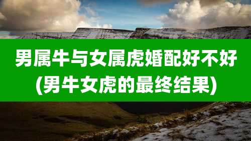 男属牛与女属虎婚配好不好(男牛女虎的最终结果)