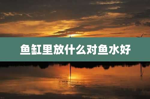 鱼缸里放什么对鱼水好