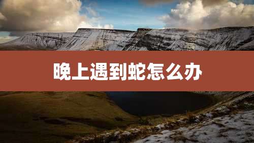 晚上遇到蛇怎么办