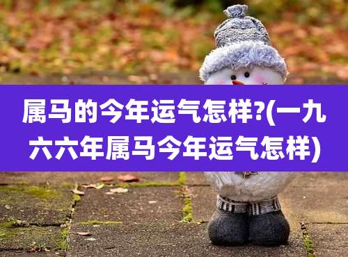 属马的今年运气怎样?(一九六六年属马今年运气怎样)