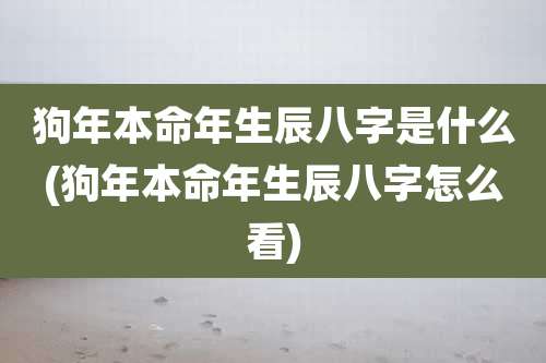 狗年本命年生辰八字是什么(狗年本命年生辰八字怎么看)