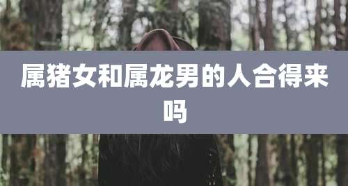属猪女和属龙男的人合得来吗