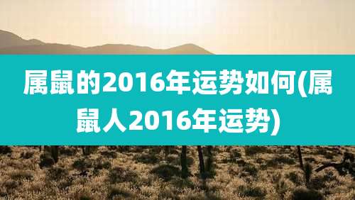 属鼠的2016年运势如何(属鼠人2016年运势)