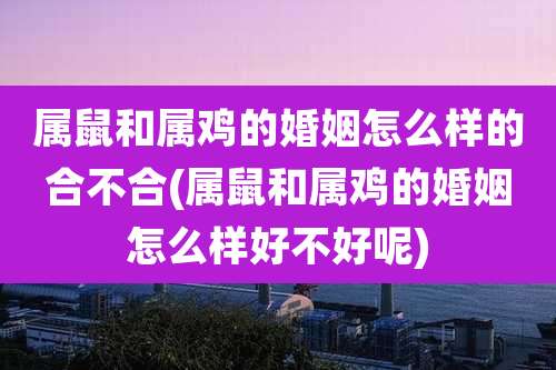属鼠和属鸡的婚姻怎么样的合不合(属鼠和属鸡的婚姻怎么样好不好呢)
