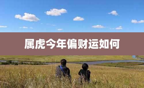 属虎今年偏财运如何