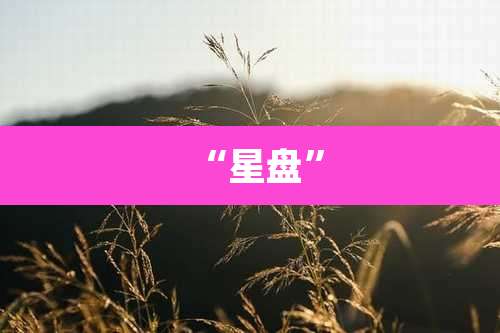 “星盘”