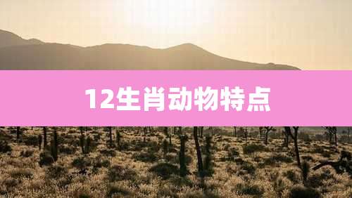 12生肖动物特点