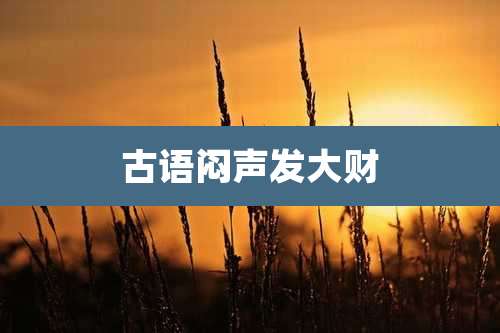 古语闷声发大财