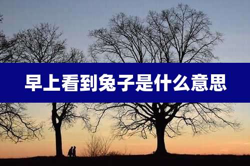 早上看到兔子是什么意思