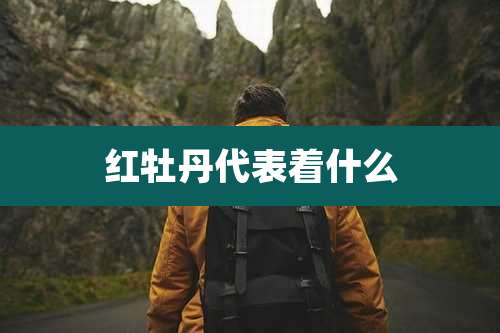 红牡丹代表着什么