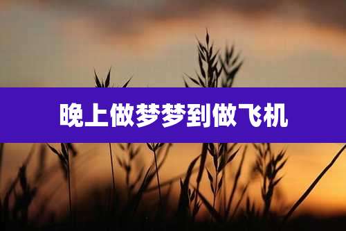 晚上做梦梦到做飞机