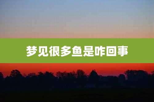 梦见很多鱼是咋回事