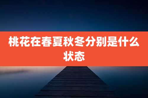 桃花在春夏秋冬分别是什么状态