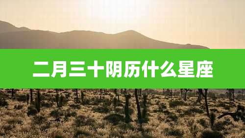 二月三十阴历什么星座
