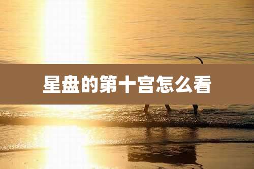 星盘的第十宫怎么看