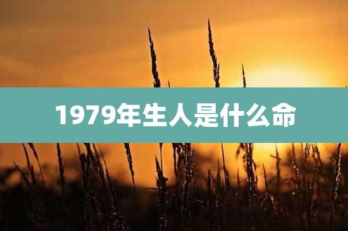 1979年生人是什么命