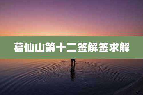 葛仙山第十二签解签求解