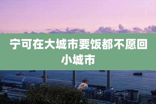 宁可在大城市要饭都不愿回小城市