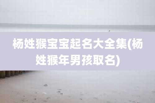 杨姓猴宝宝起名大全集(杨姓猴年男孩取名)