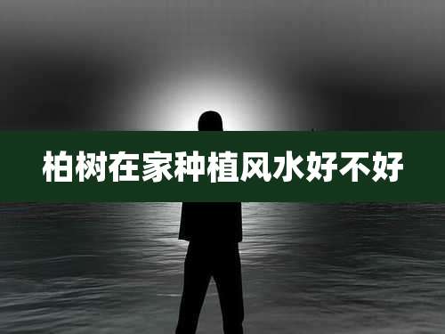 柏树在家种植风水好不好