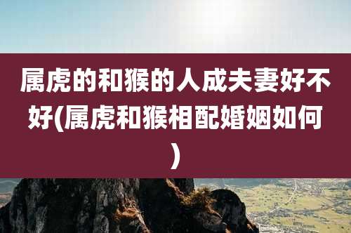 属虎的和猴的人成夫妻好不好(属虎和猴相配婚姻如何)