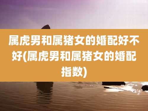 属虎男和属猪女的婚配好不好(属虎男和属猪女的婚配指数)