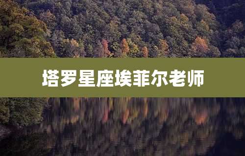 塔罗星座埃菲尔老师