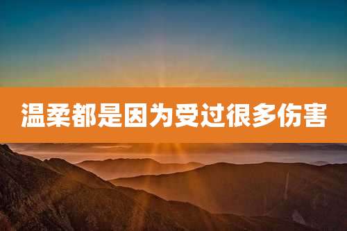 温柔都是因为受过很多伤害
