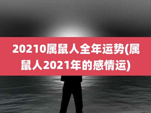 20210属鼠人全年运势(属鼠人2021年的感情运)
