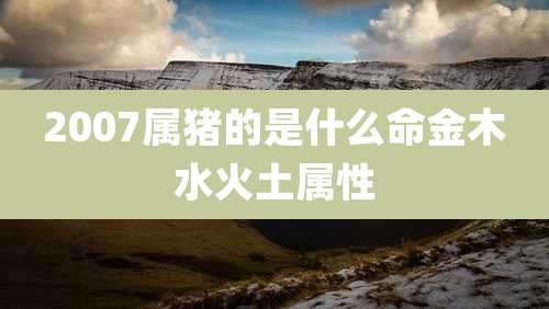 2007属猪的是什么命金木水火土属性